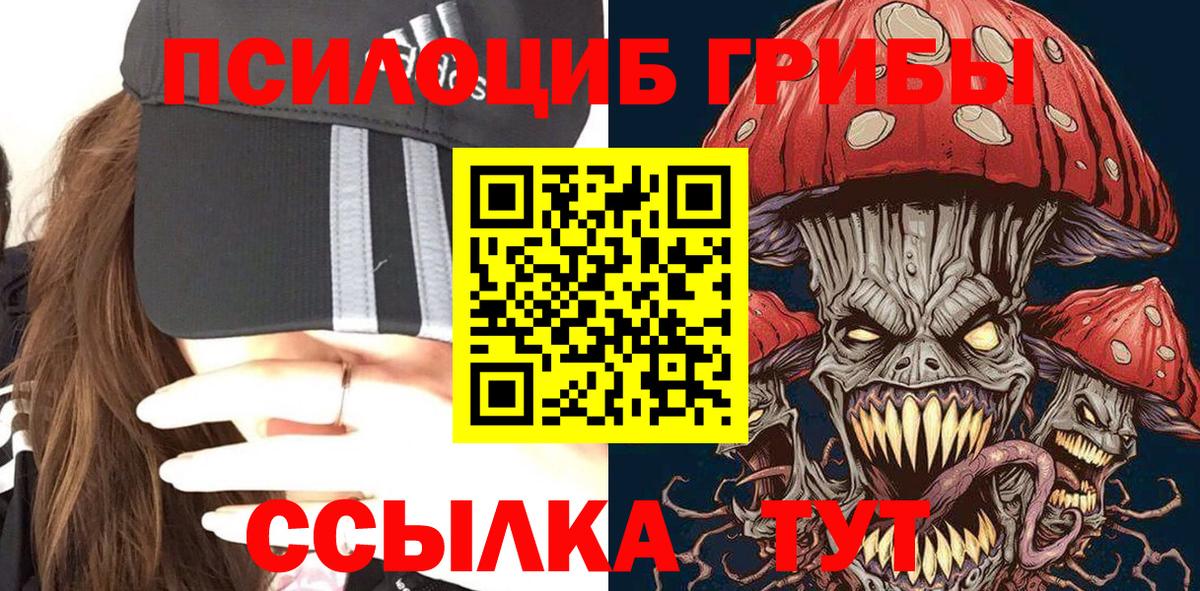 Полысаево  Псилоцибиновые грибы Psilocybine cubensis  Вход с VPN 